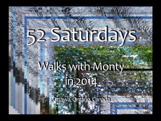Photo Album
by Jan
52 Saturdays
Walks with Monty
in 2014
Ottawa,Ontario,Canada
52 Saturdays
Walks with Monty
in 2014
Ottawa,Ontario,Canada
 