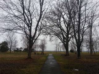 52 Saturdays - Walks with Monty