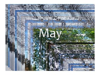 Photo Album
by Jan
May
 