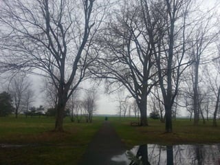 52 Saturdays - Walks with Monty