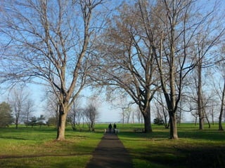 52 Saturdays - Walks with Monty