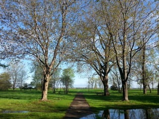 52 Saturdays - Walks with Monty