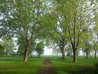 52 Saturdays - Walks with Monty