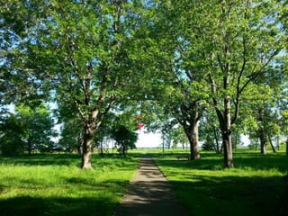 52 Saturdays - Walks with Monty