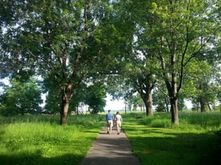 52 Saturdays - Walks with Monty
