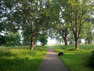 52 Saturdays - Walks with Monty