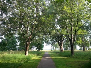 52 Saturdays - Walks with Monty
