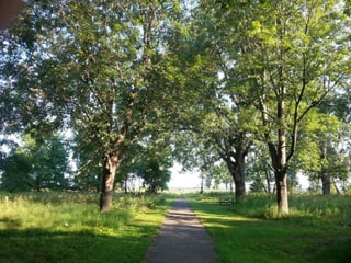52 Saturdays - Walks with Monty