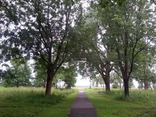 52 Saturdays - Walks with Monty