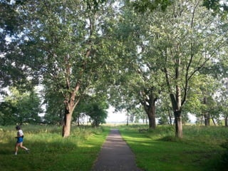 52 Saturdays - Walks with Monty
