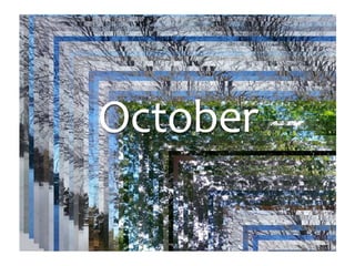 Photo Album
by Jan
October
 