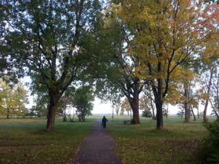 52 Saturdays - Walks with Monty