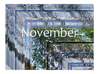 Photo Album
by Jan
November
 
