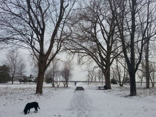52 Saturdays - Walks with Monty