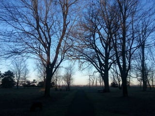 52 Saturdays - Walks with Monty