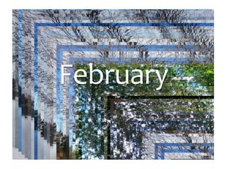 Photo Album
by Jan
February
 