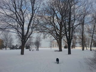 52 Saturdays - Walks with Monty