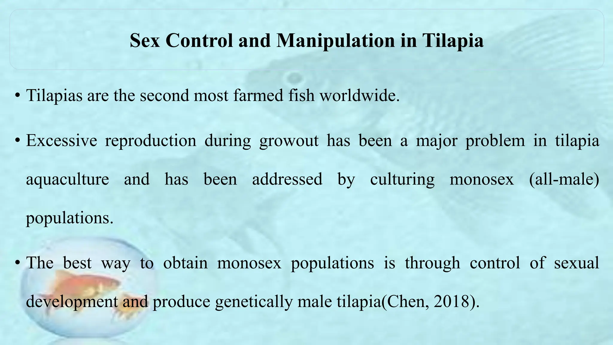• Tilapias are the second most farmed fish worldwide.
• Excessive reproduction during growout has been a major problem in tilapia
aquaculture and has been addressed by culturing monosex (all-male)
populations.
• The best way to obtain monosex populations is through control of sexual
development and produce genetically male tilapia(Chen, 2018).
Sex Control and Manipulation in Tilapia
 