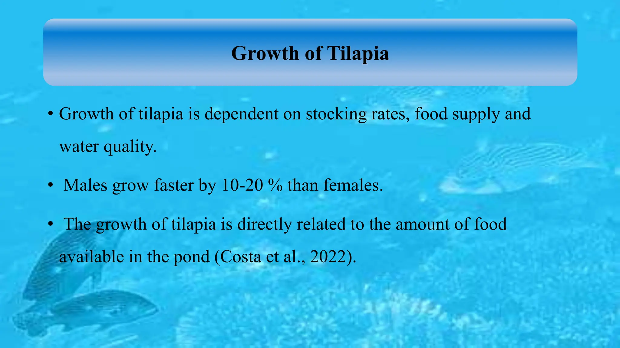 • Growth of tilapia is dependent on stocking rates, food supply and
water quality.
• Males grow faster by 10-20 % than females.
• The growth of tilapia is directly related to the amount of food
available in the pond (Costa et al., 2022).
Growth of Tilapia
 