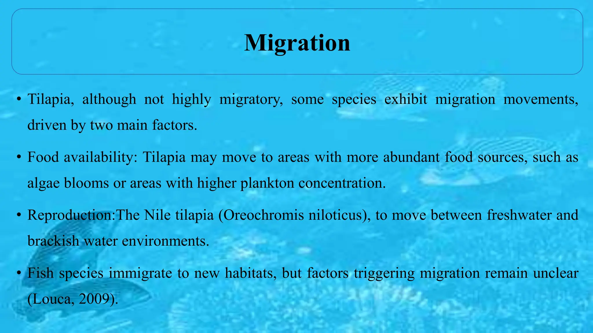 • Tilapia, although not highly migratory, some species exhibit migration movements,
driven by two main factors.
• Food availability: Tilapia may move to areas with more abundant food sources, such as
algae blooms or areas with higher plankton concentration.
• Reproduction:The Nile tilapia (Oreochromis niloticus), to move between freshwater and
brackish water environments.
• Fish species immigrate to new habitats, but factors triggering migration remain unclear
(Louca, 2009).
Migration
 