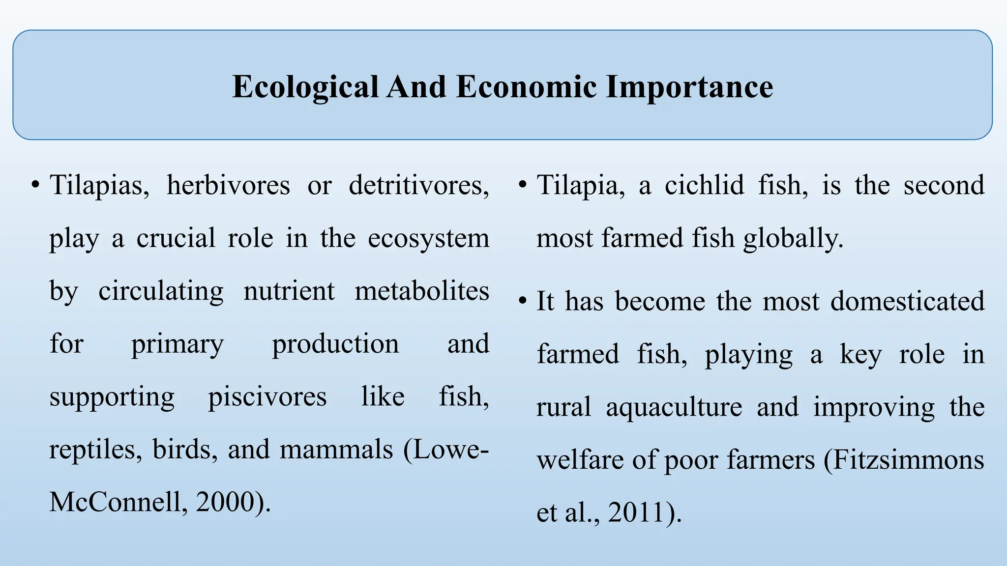 • Tilapias, herbivores or detritivores,
play a crucial role in the ecosystem
by circulating nutrient metabolites
for primary production and
supporting piscivores like fish,
reptiles, birds, and mammals (Lowe-
McConnell, 2000).
• Tilapia, a cichlid fish, is the second
most farmed fish globally.
• It has become the most domesticated
farmed fish, playing a key role in
rural aquaculture and improving the
welfare of poor farmers (Fitzsimmons
et al., 2011).
Ecological And Economic Importance
 
