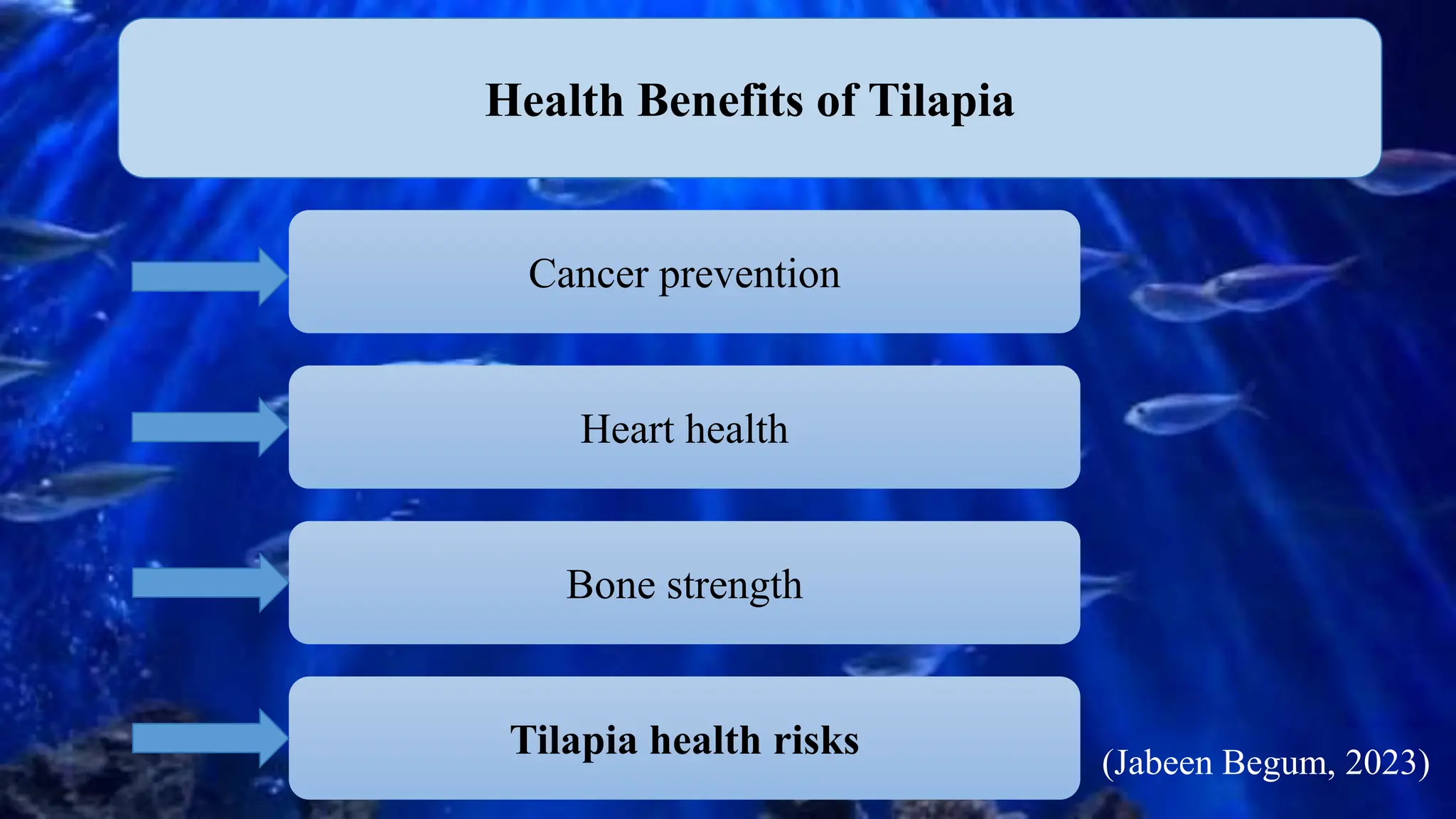 Health Benefits of Tilapia
Heart health
Bone strength
Cancer prevention
Tilapia health risks (Jabeen Begum, 2023)
 