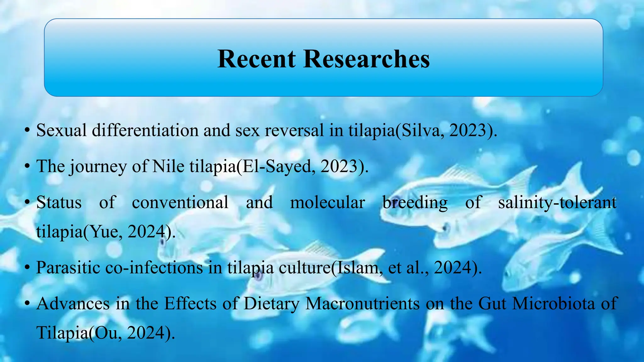 • Sexual differentiation and sex reversal in tilapia(Silva, 2023).
• The journey of Nile tilapia(El‐Sayed, 2023).
• Status of conventional and molecular breeding of salinity-tolerant
tilapia(Yue, 2024).
• Parasitic co-infections in tilapia culture(Islam, et al., 2024).
• Advances in the Effects of Dietary Macronutrients on the Gut Microbiota of
Tilapia(Ou, 2024).
Recent Researches
 