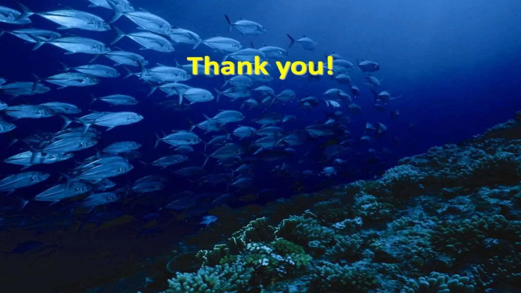 Introduction to Tilapia and its meristic characters