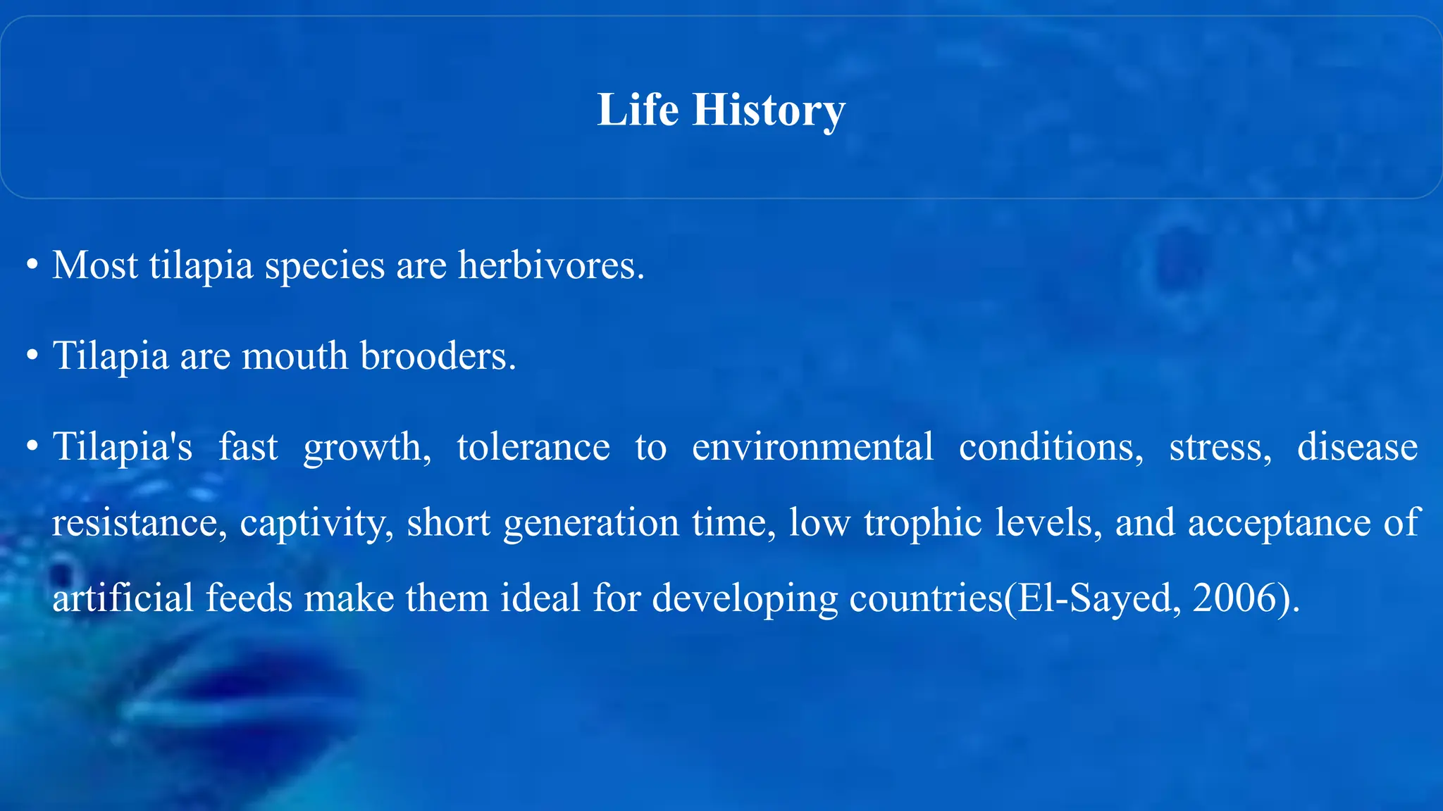 • Most tilapia species are herbivores.
• Tilapia are mouth brooders.
• Tilapia's fast growth, tolerance to environmental conditions, stress, disease
resistance, captivity, short generation time, low trophic levels, and acceptance of
artificial feeds make them ideal for developing countries(El-Sayed, 2006).
Life History
 