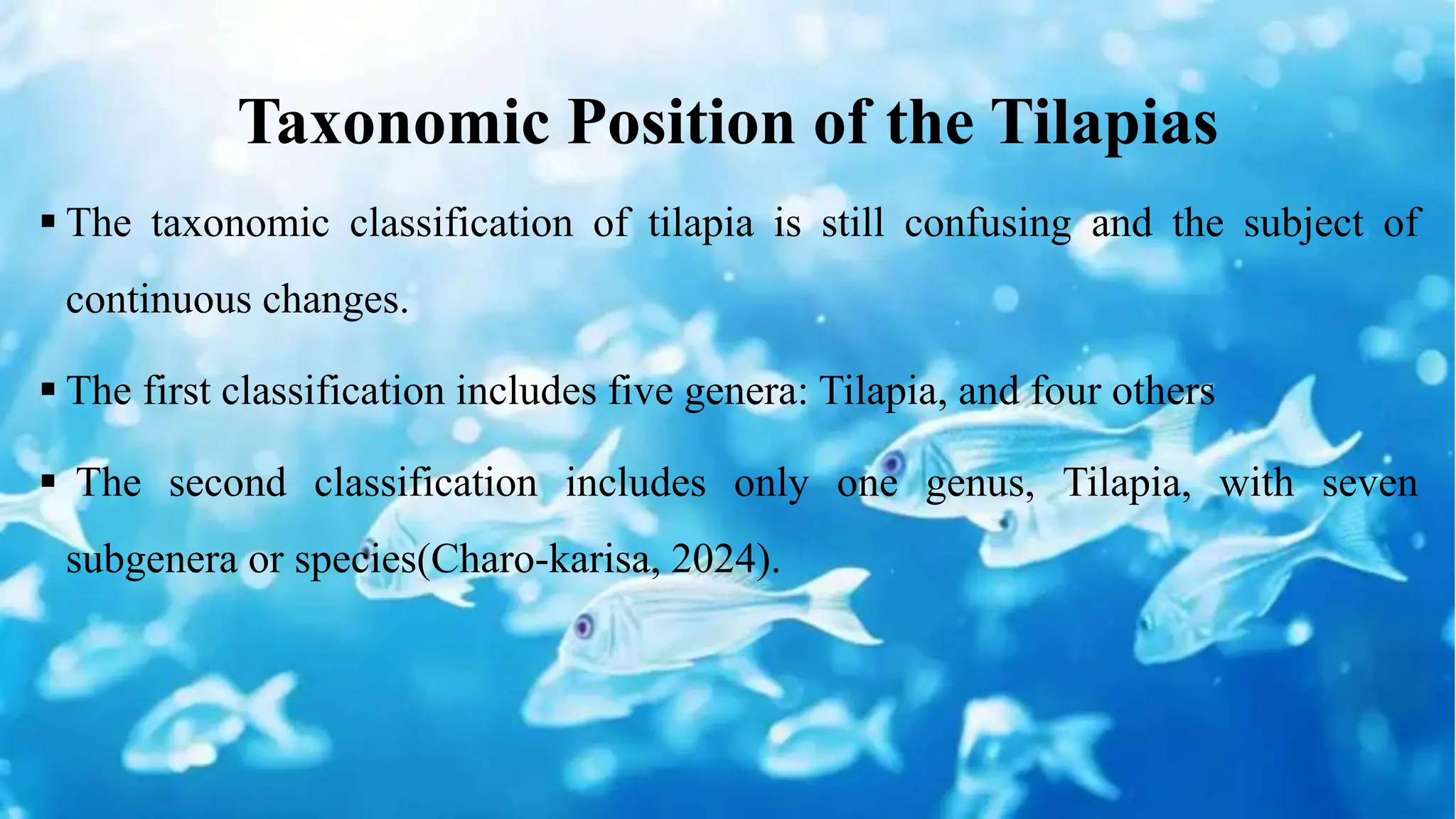 Taxonomic Position of the Tilapias
 The taxonomic classification of tilapia is still confusing and the subject of
continuous changes.
 The first classification includes five genera: Tilapia, and four others
 The second classification includes only one genus, Tilapia, with seven
subgenera or species(Charo-karisa, 2024).
 