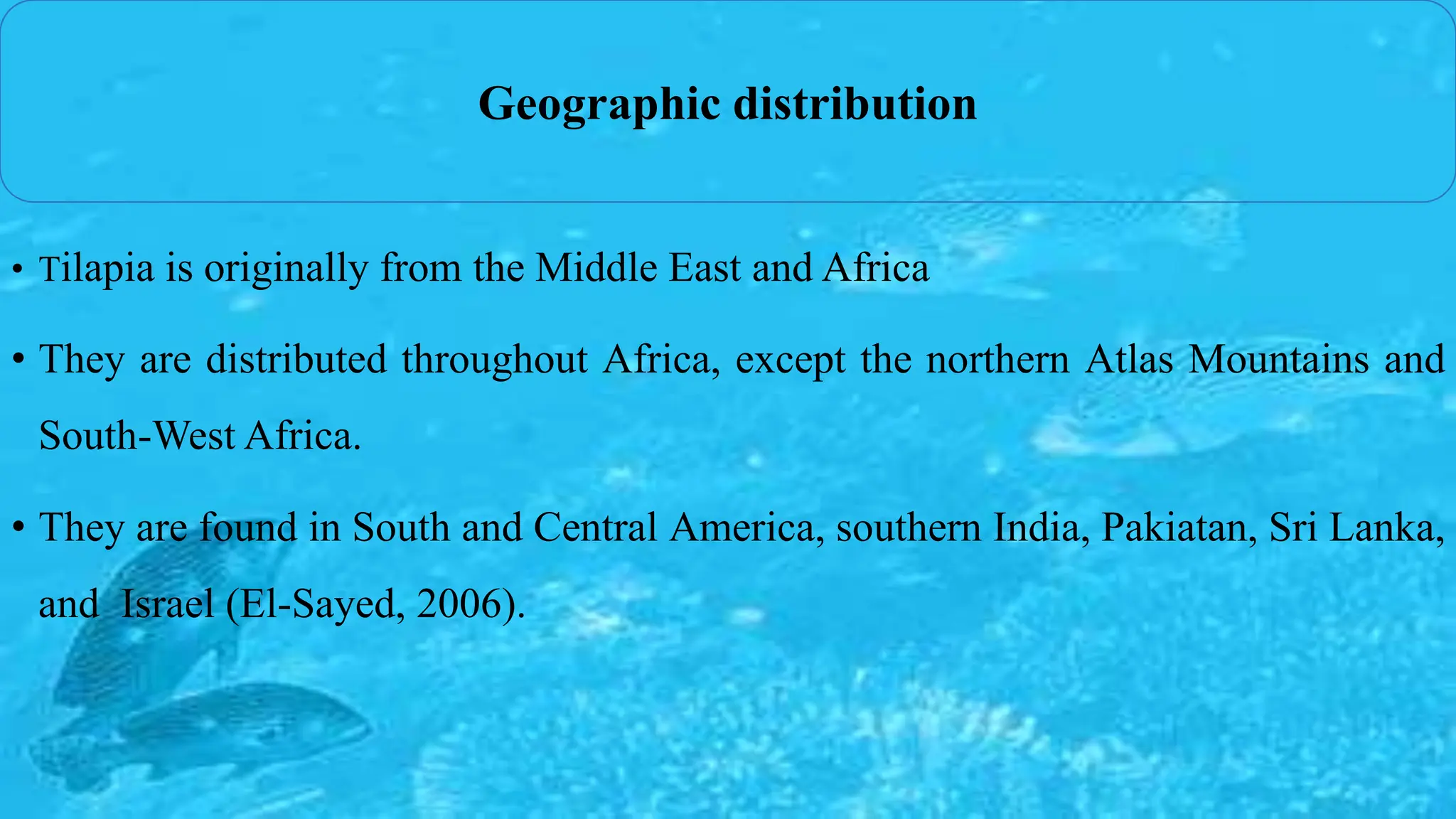 • Tilapia is originally from the Middle East and Africa
• They are distributed throughout Africa, except the northern Atlas Mountains and
South-West Africa.
• They are found in South and Central America, southern India, Pakiatan, Sri Lanka,
and Israel (El-Sayed, 2006).
Geographic distribution
 