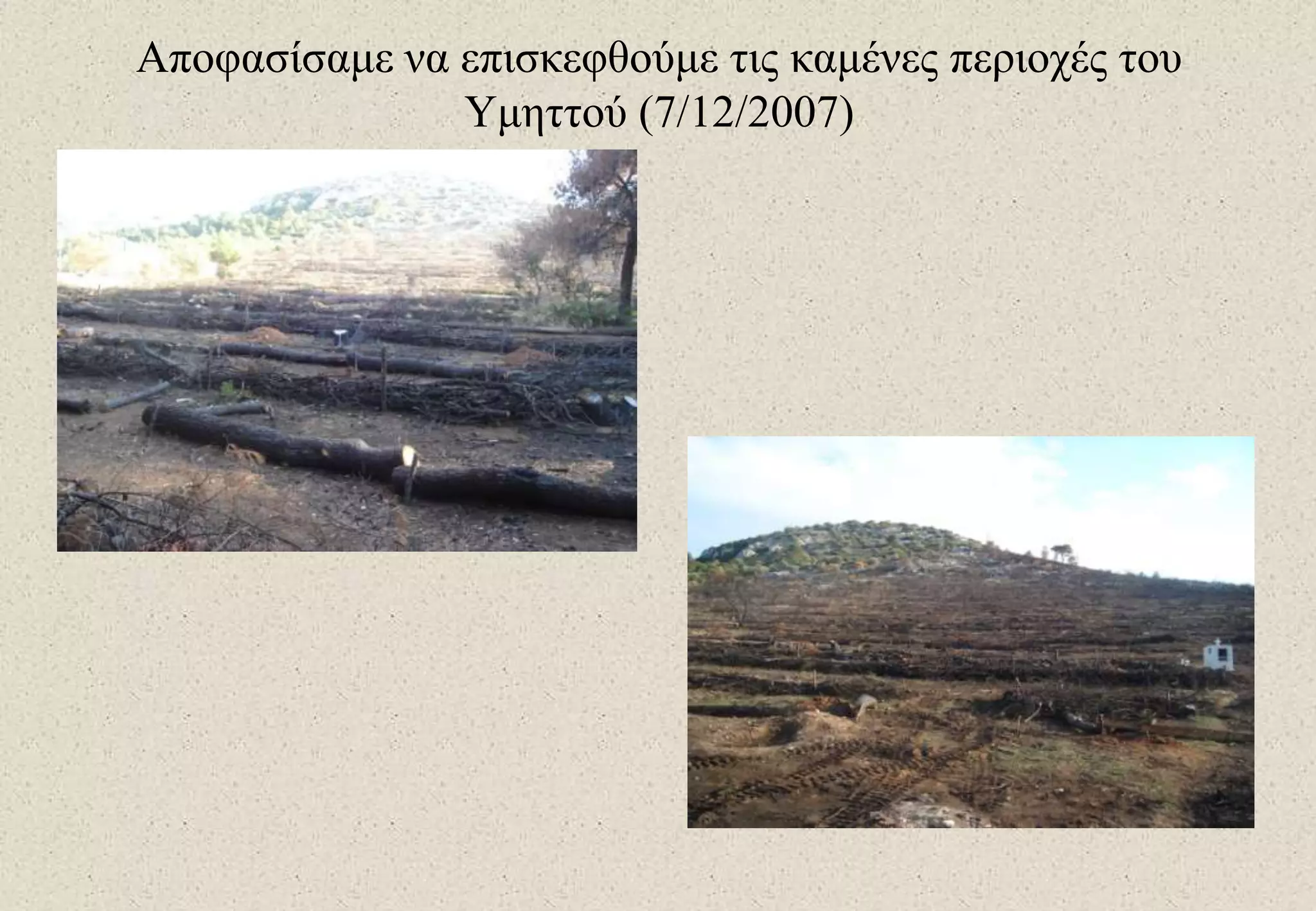 Αποφασίσαμε να επισκεφθούμε τις καμένες περιοχές του Υμηττού (7/12/2007)