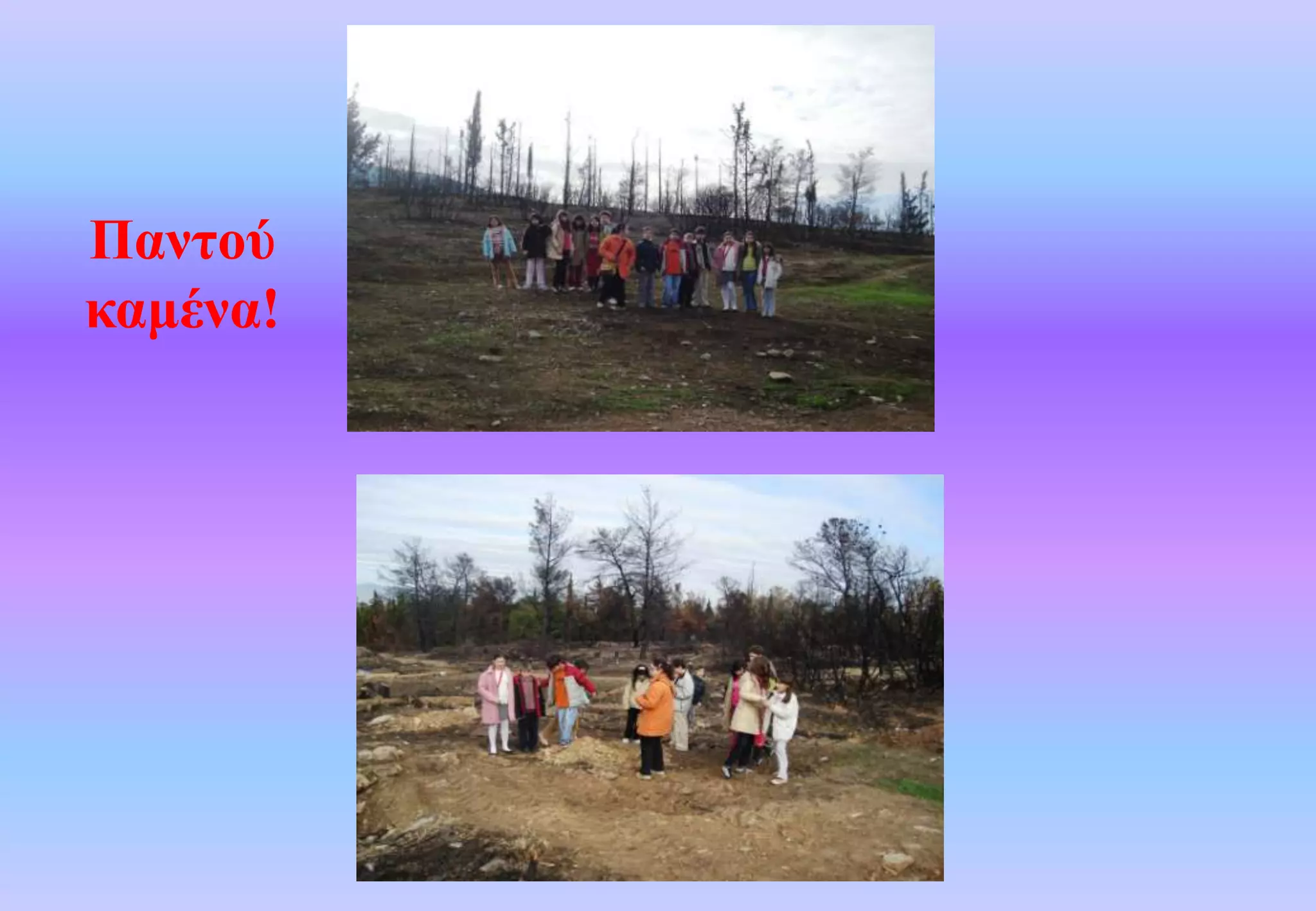 Παντού καμένα!