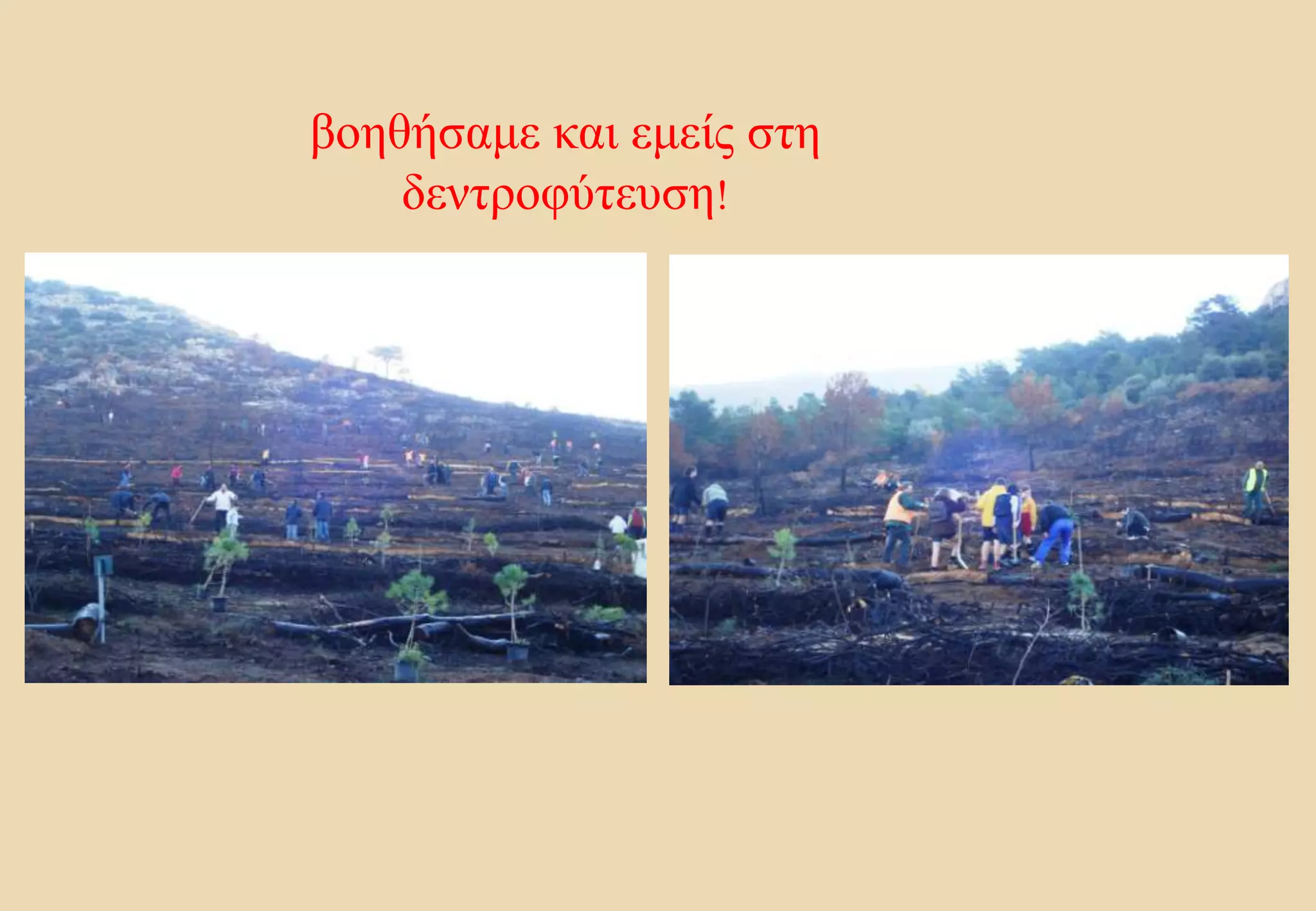 βοηθήσαμε και εμείς στη δεντροφύτευση! 