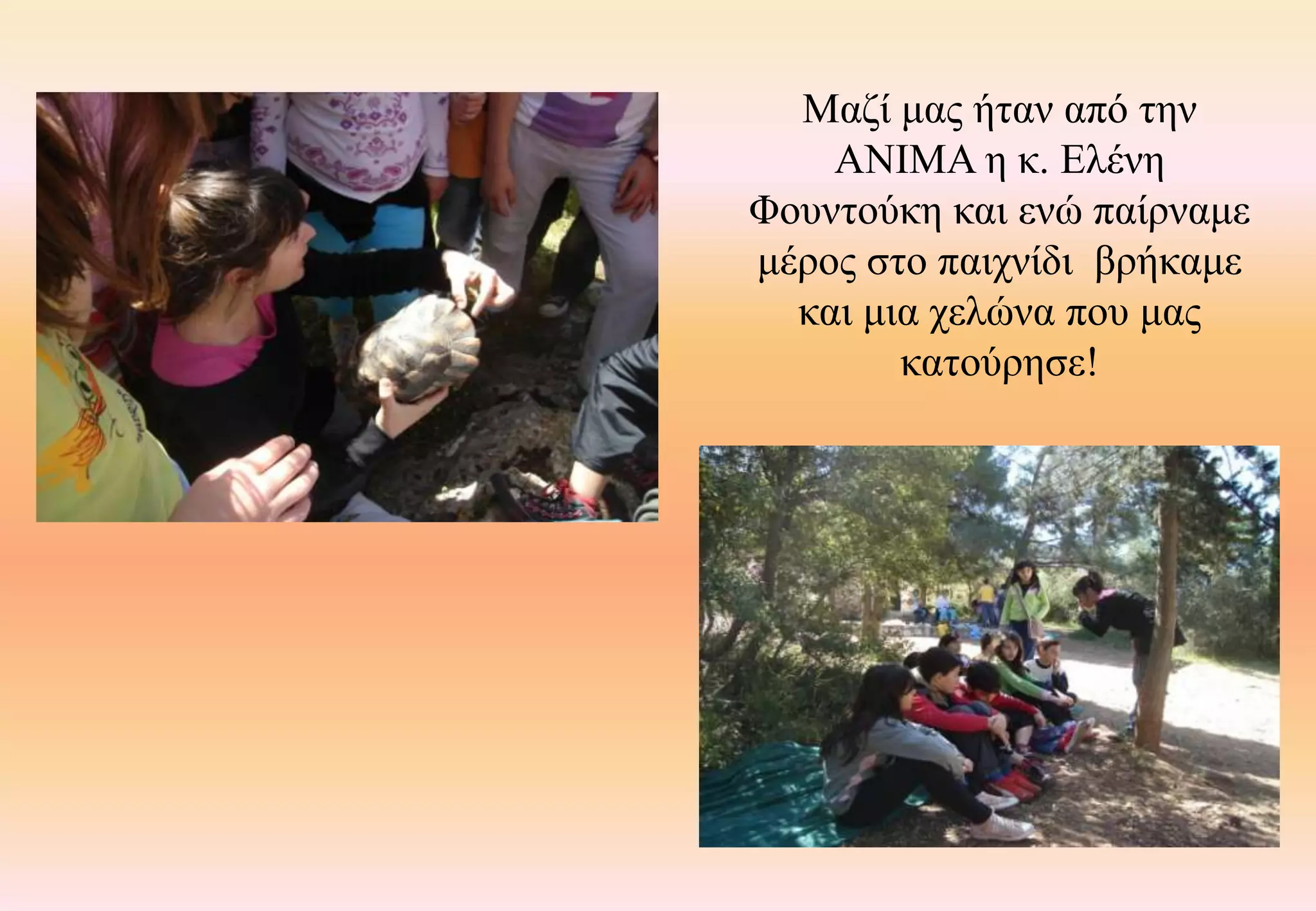 Μαζί μας ήταν από την ΑΝΙΜΑ η κ. Ελένη Φουντούκη και ενώ παίρναμε μέρος στο παιχνίδι  βρήκαμε και μια χελώνα που μας κατούρησε!