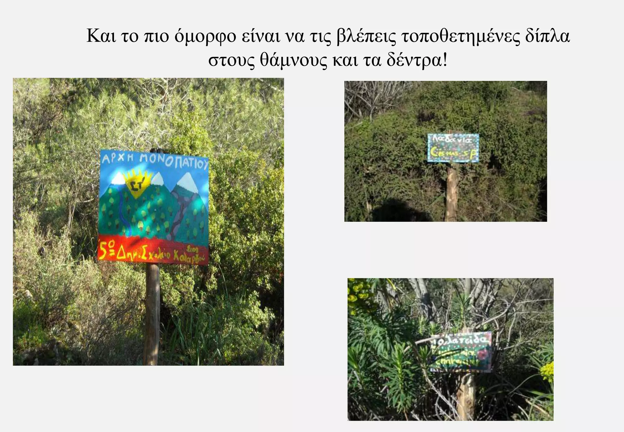 Και το πιο όμορφο είναι να τις βλέπεις τοποθετημένες δίπλα στους θάμνους και τα δέντρα!