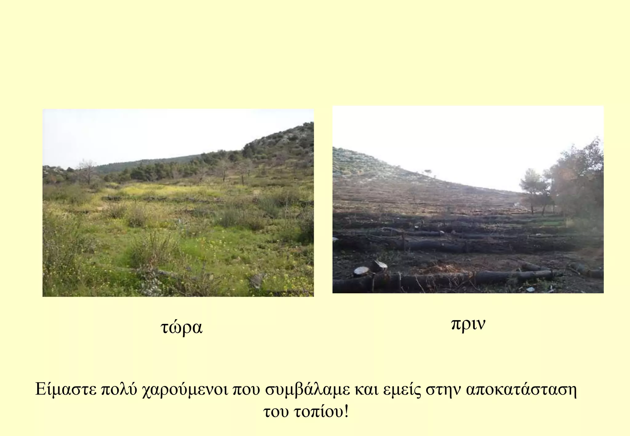 πριντώρα Είμαστε πολύ χαρούμενοι που συμβάλαμε και εμείς στην αποκατάσταση του τοπίου!