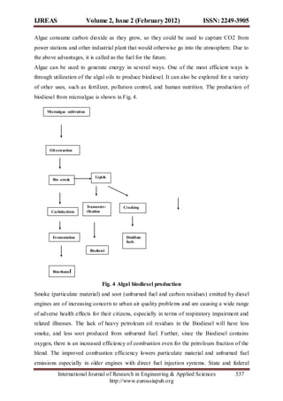 IJREAS                         Volume 2, Issue 2 (February 2012)            ISSN: 2249-3905

Algae consume carbon dioxide as they grow, so they could be used to capture CO2 from
power stations and other industrial plant that would otherwise go into the atmosphere. Due to
the above advantages, it is called as the fuel for the future.
Algae can be used to generate energy in several ways. One of the most efficient ways is
through utilization of the algal oils to produce biodiesel. It can also be explored for a variety
of other uses, such as fertilizer, pollution control, and human nutrition. The production of
biodiesel from microalgae is shown in Fig. 4.

      Microalgae cultivation




       Oil extraction




                                   Lipids
         Bio -crude




                               Transester-     Cracking
        Carbohydrate           ification




         Fe rmentation                           Distillate
                                                 fuels

                                Biodiesel




         Bioe thano l


                                       Fig. 4 Algal biodiesel production
Smoke (particulate material) and soot (unburned fuel and carbon residues) emitted by diesel
engines are of increasing concern to urban air quality proble ms and are causing a wide range
of adverse health effects for their citizens, especially in terms of respiratory impairment and
related illnesses. The lack of heavy petroleum oil residues in the Biodiesel will have less
smoke, and less soot produced from unburned fuel. Further, since the Biodiesel contains
oxygen, there is an increased efficiency of combustion even for the petroleum fraction of the
blend. The improved combustion efficiency lowers particulate material and unburned fuel
emissions especially in older engines with direct fuel injection systems. State and federal
            International Journal of Research in Engineering & Applied Sciences            537
                                   http://www.euroasiapub.org
 