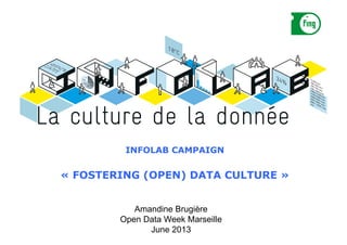 THE	
  INFOLAB	
  
INFOLAB CAMPAIGN
« FOSTERING (OPEN) DATA CULTURE »
Amandine Brugière
Open Data Week Marseille
June 2013
 