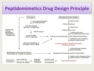 Peptidomimetics Drug Design Principle
 