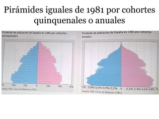 Pirámides iguales de 1981 por cohortes
quinquenales o anuales
 