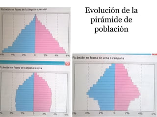 Evolución de la
pirámide de
población
 