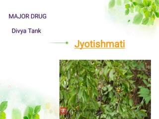 Jyotishmati
MAJOR DRUG
Divya Tank
 
