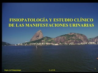 FISIOPATOLOGÍA Y ESTUDIO CLÍNICO DE LAS MANIFESTACIONES URINARIAS  Depto. de Fisiopatología L.A.C.D. 1 