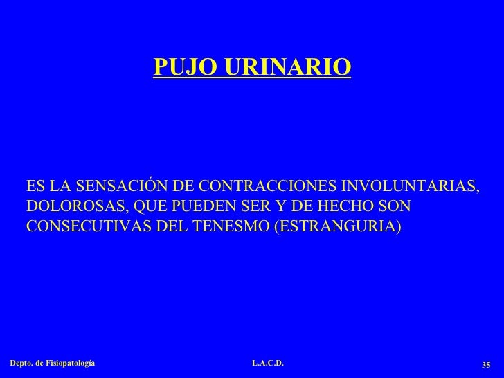 53 Urol01 N 53 Urol01 N