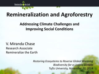 Remineralization and Agroforestry 
Addressing Climate Challenges and 
Improving Social Conditions 
V. Miranda Chase 
Research Associate 
Remineralize the Earth 
Restoring Ecosystems to Reverse Global Warming 
Biodiversity for a Livable Climate 
Tufts University, November 22, 2014 
 