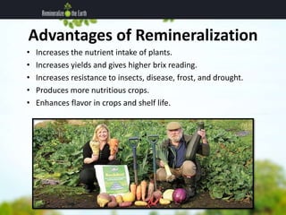 Advantages of Remineralization 
• Increases the nutrient intake of plants. 
• Increases yields and gives higher brix readi...