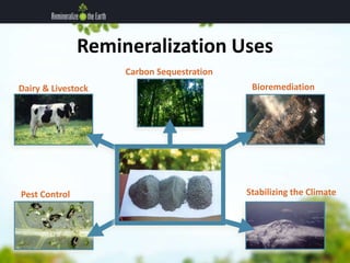 Remineralization Uses 
Bioremediation 
Dairy & Livestock 
Carbon Sequestration 
Pest Control Stabilizing the Climate 
 