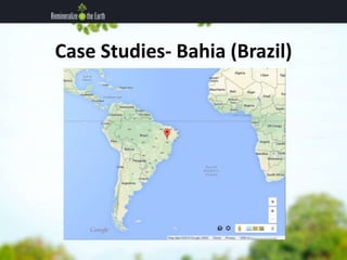Case Studies- Bahia (Brazil) 
 