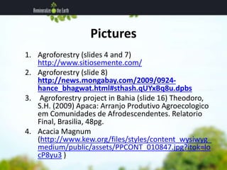 Pictures 
1. Agroforestry (slides 4 and 7) 
http://www.sitiosemente.com/ 
2. Agroforestry (slide 8) 
http://news.mongabay....